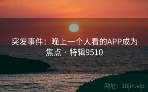 突发事件：晚上一个人看的APP成为焦点 · 特辑9510