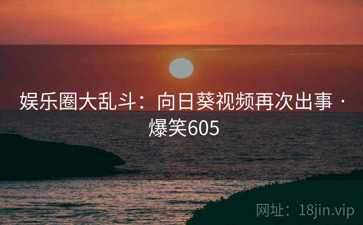 娱乐圈大乱斗：向日葵视频再次出事 · 爆笑605