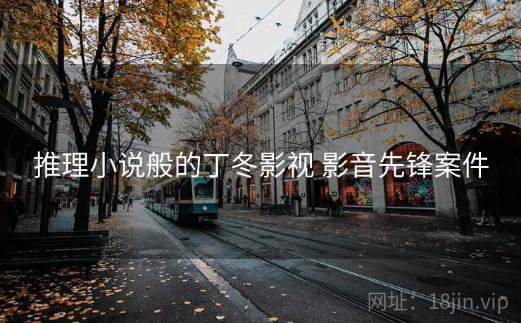 推理小说般的丁冬影视 影音先锋案件